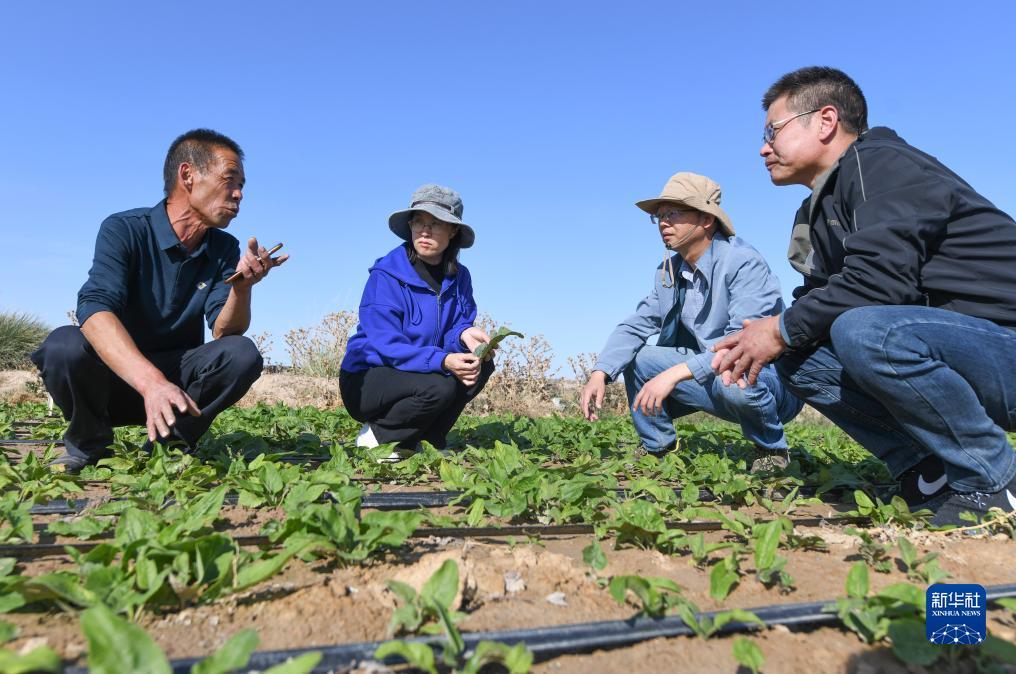 游戏官网下载